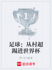 足球：从村超踢进世界杯在线阅读