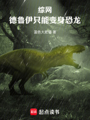 综网德鲁伊只能