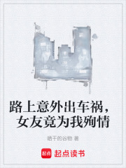 路上意外出车祸，女友竟为我殉情在线阅读