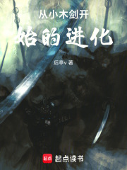 从小木剑开始的进化