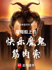 海贼：草帽船上的快乐魔鬼筋肉索在线阅读