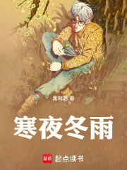 寒夜冬雨