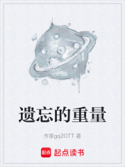 遗忘的重量在线阅读