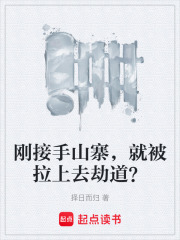 刚接手山寨，就被拉上去劫道？