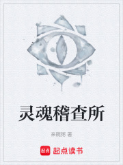 灵魂稽查所在线阅读