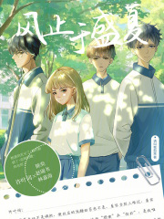 风止于盛夏在线阅读