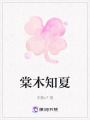 棠木知夏在线阅读