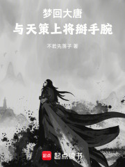 梦回大唐，与天策上将掰手腕在线阅读