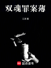 双魂罪案薄在线阅读