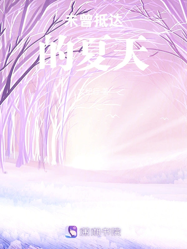 未曾抵达的夏天