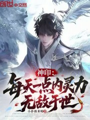 神印：每天一点内灵力，无敌于世在线阅读