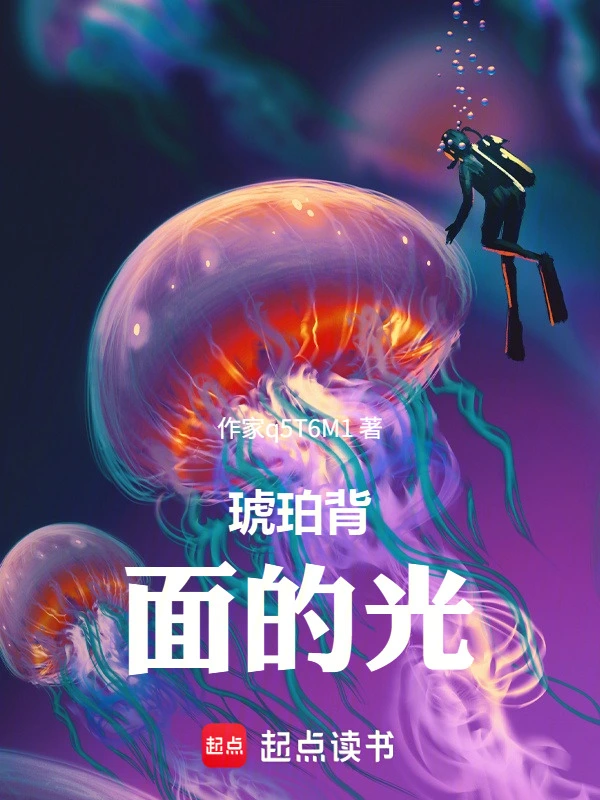 琥珀背面的光