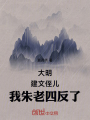 大明：建文侄儿，我朱老四反了