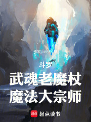 斗罗：武魂老魔杖，魔法大宗师