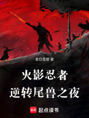 火影忍者：逆转尾兽之夜在线阅读