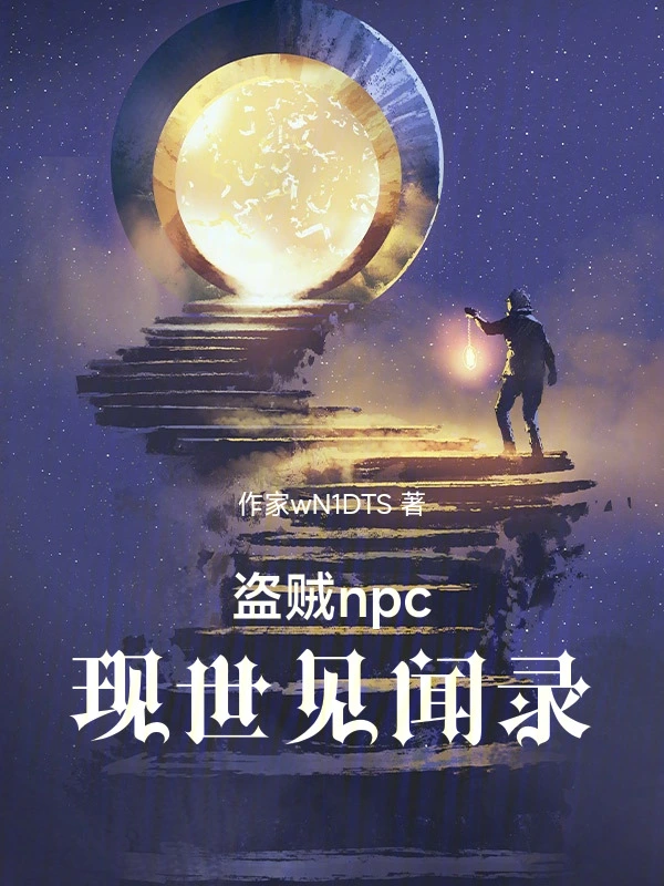 盗贼npc现世见闻录