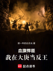 血旗悍匪，我在大庚当反王