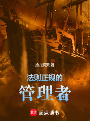 法则正规的管理者在线阅读