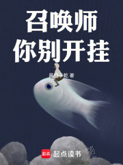召唤师你别开挂