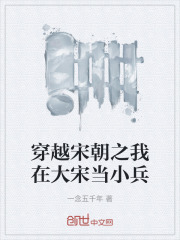 穿越宋朝之我在大宋当小兵