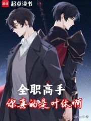 全职高手：你真的是叶休啊