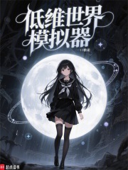 低维世界模拟器