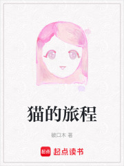 猫的旅程在线阅读