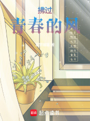 拂过青春的风