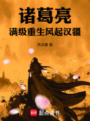 诸葛亮：满级重生，风起汉疆