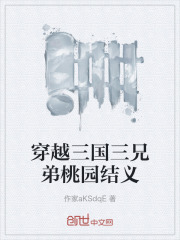穿越三国三兄弟桃园结义