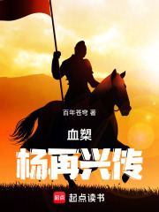 血槊：杨再兴传