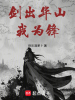 剑出华山我为锋封面