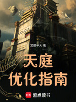 天庭优化指南封面