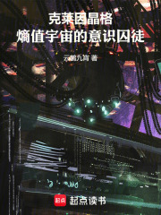 克莱因晶格：熵值宇宙的意识囚徒