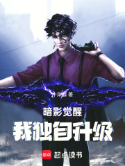 暗影觉醒，我独自升级