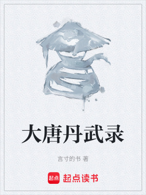 大唐丹武录 cover
