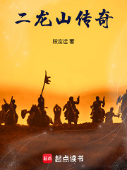 二龙山传奇