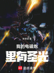 我的电磁炮里有圣光