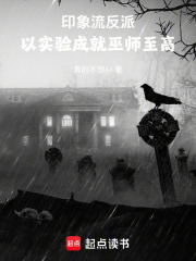 印象流反派：以实验成就巫师至高在线阅读