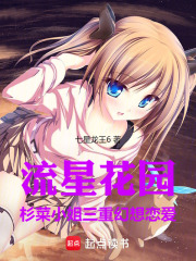 流星花园：杉菜小姐三重幻想恋爱
