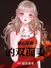 冰山总裁的双面妻