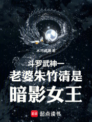 斗罗武神一老婆朱竹清是暗影女王