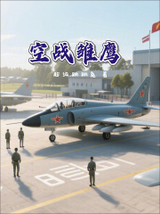 空战雏鹰在线阅读
