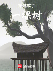穿越成了一棵树在线阅读
