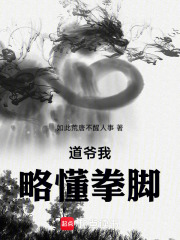 道爷我略懂拳脚在线阅读