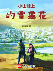 小山峰上的雪莲花