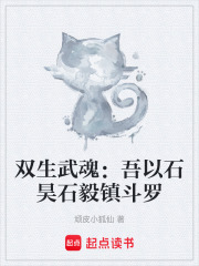 双生武魂：吾以石昊石毅镇斗罗在线阅读