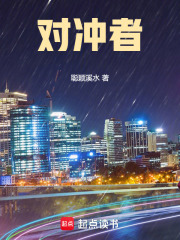 对冲者在线阅读
