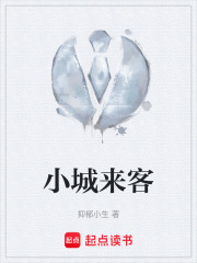 小城来客
