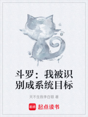 斗罗：我被识别成系统目标